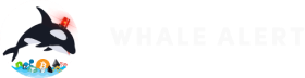 whale alert